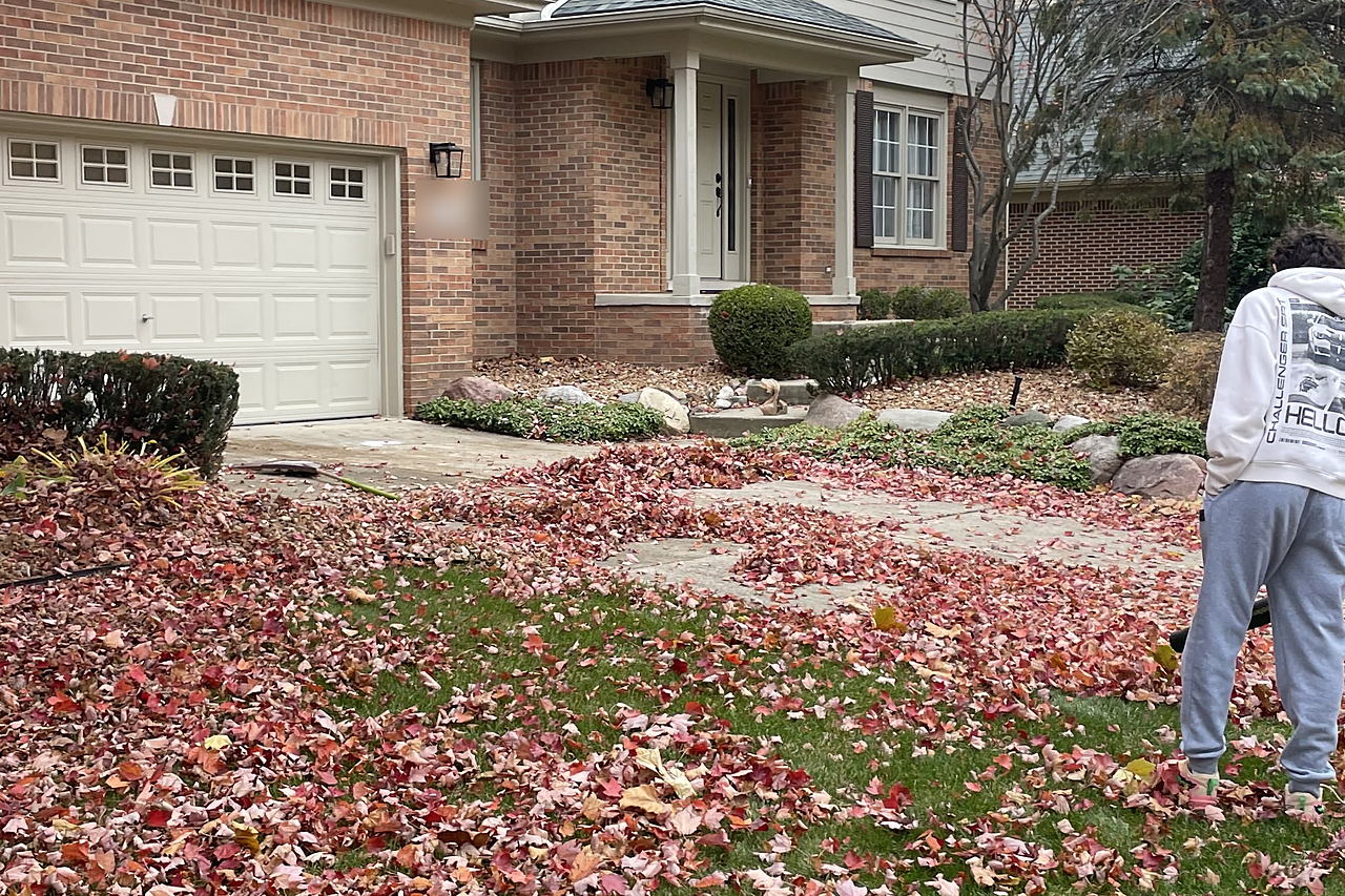 Blowing leaves clear of a lawn and driveway
