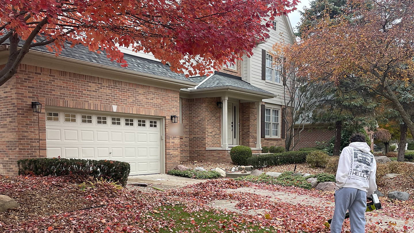 A leaf-covered front lawn before a cleanup