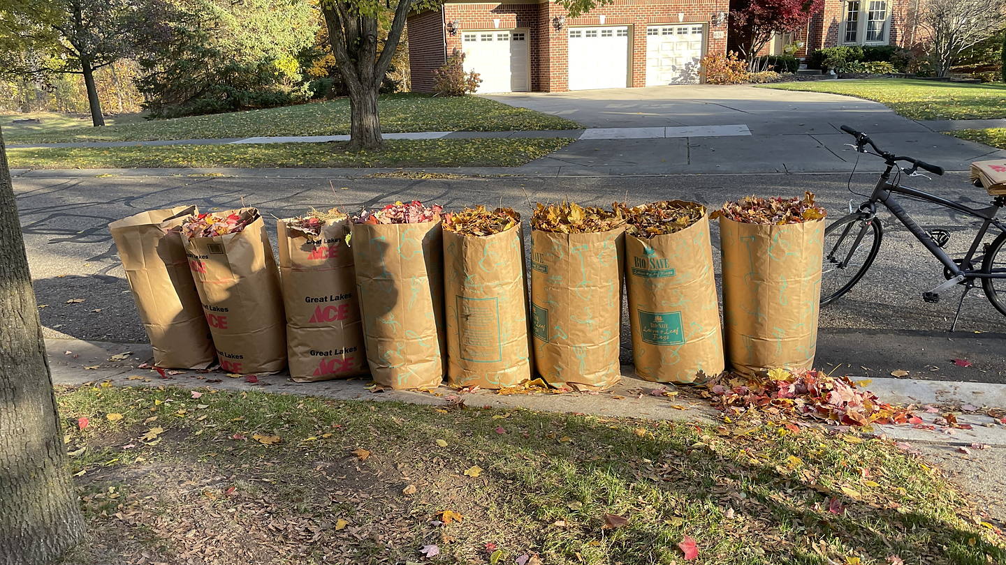 A Novi property after a fall cleanup