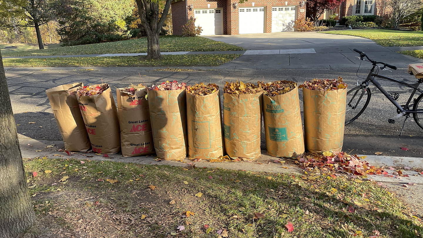 Bagged leaves at the end of a fall cleanup